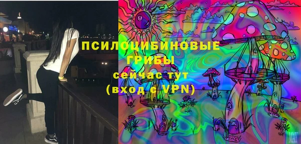 МДМА Бородино